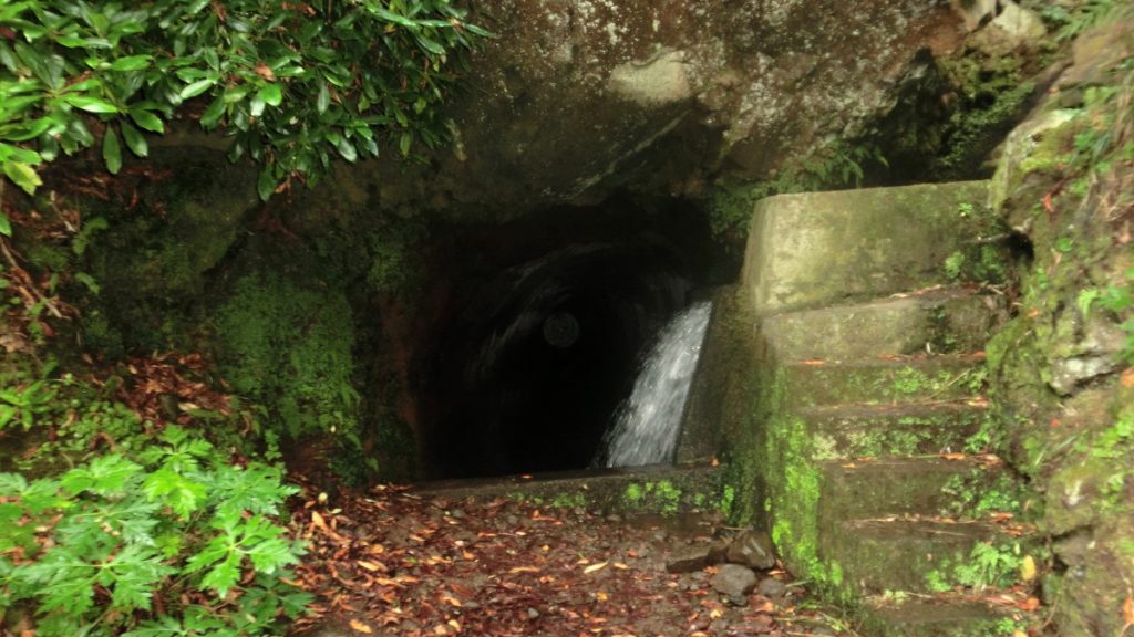 Madeira_Den2_04_Tunel