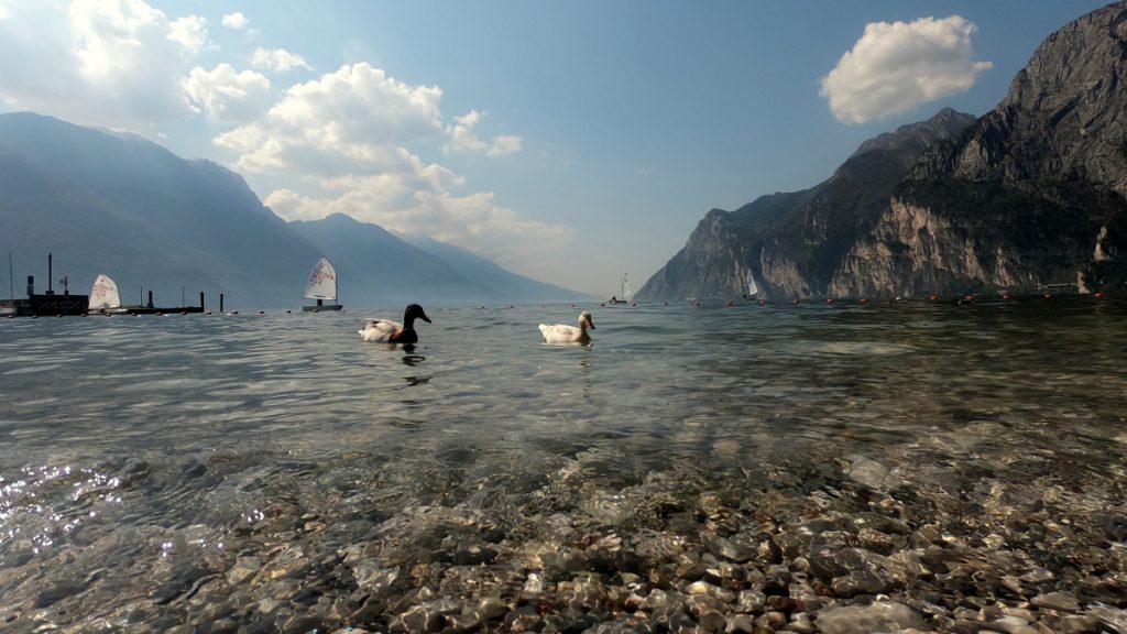 Jezero Lago di Garda - průzračná voda