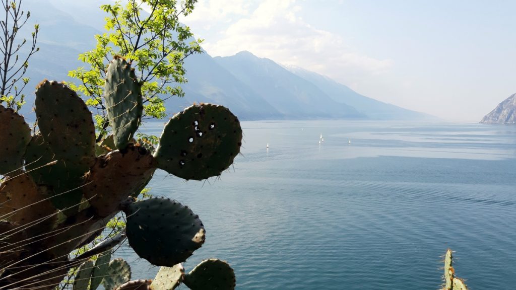 Jezero Lago di Garda a kaktusy